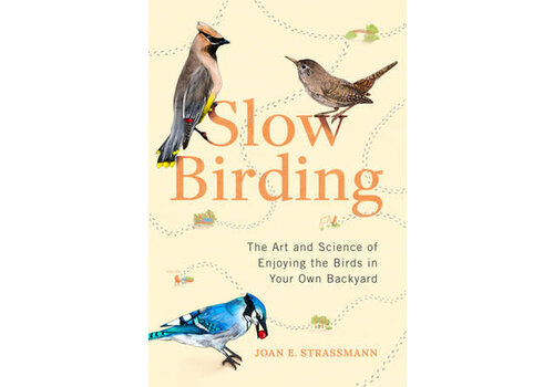 Slow Birding   Slow Birding