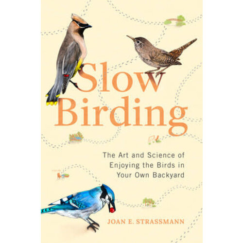  Slow Birding 