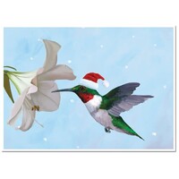 Hummingbird Holiday Card