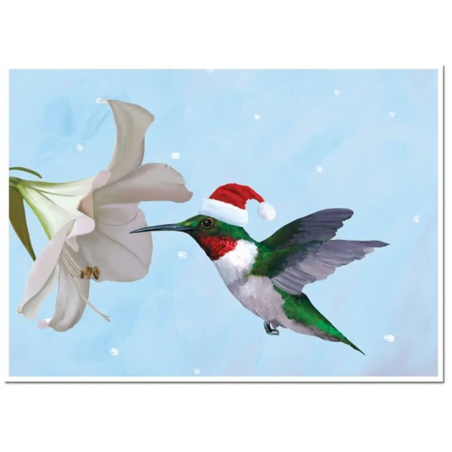 Hummingbird Holiday Card