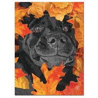 Dog In Leaves Thanksgiving Card