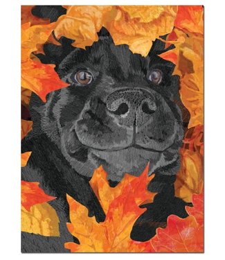 Allport Editions Dog In Leaves Thanksgiving Card