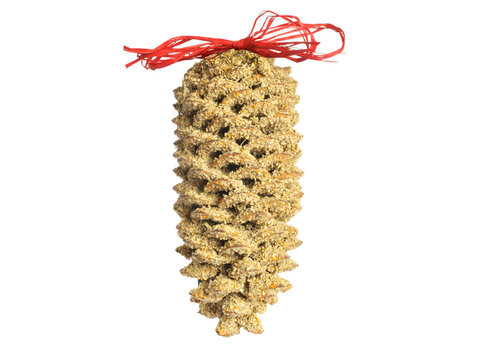  Mr Bird Large Pinecone 