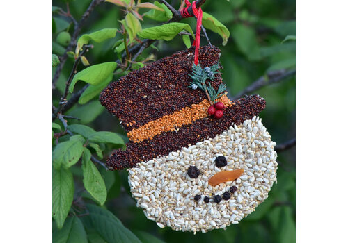  Mr Bird Frosty Christmas Cookie Seed Ornament 