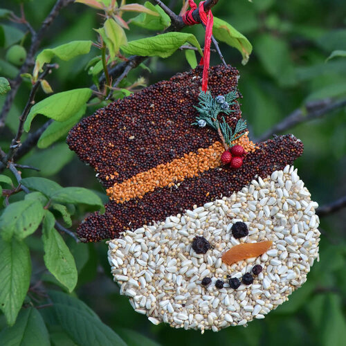  Mr Bird Frosty Christmas Cookie Seed Ornament 