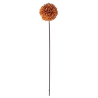 26" Allium Stem