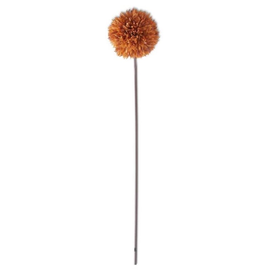 26" Allium Stem