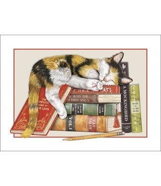 Sugarhouse Greetings Cat with Books Birthday Card