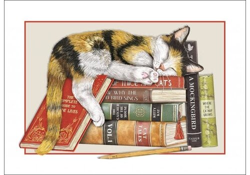  Sugarhouse Greetings Cat with Books Birthday Card 