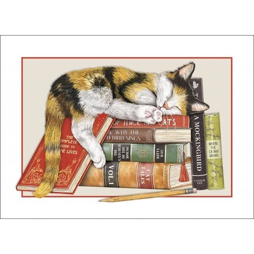  Sugarhouse Greetings Cat with Books Birthday Card 