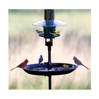 Seed Buster Tray Feeder