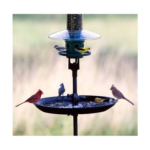  Seed Buster Tray Feeder 