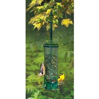 Squirrel Buster Mini