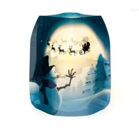 Luminary Lantern Frosty