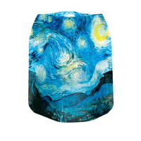 Luminary Lantern Van Gogh Starry Night