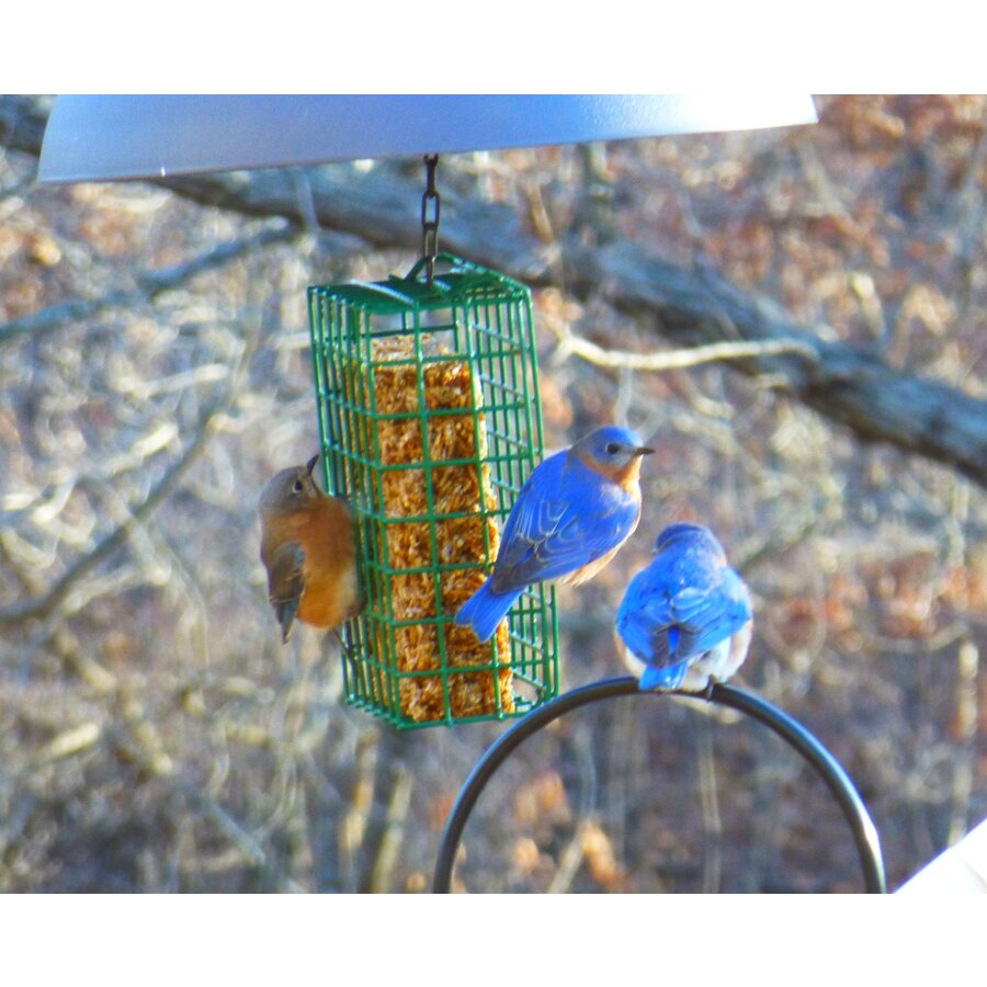 Flaming Hot Feast Cake