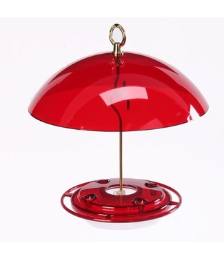 Backyard Nature Products Hummingbird Feeder with Dome
