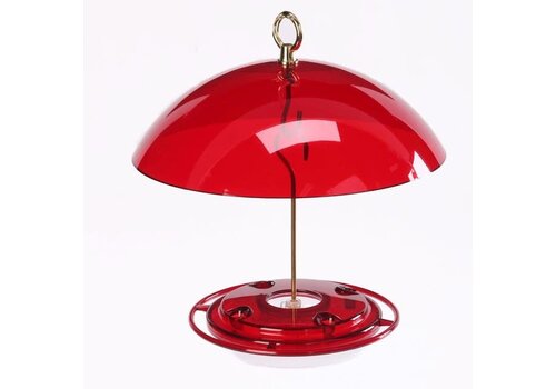  Hummingbird Feeder with Dome 