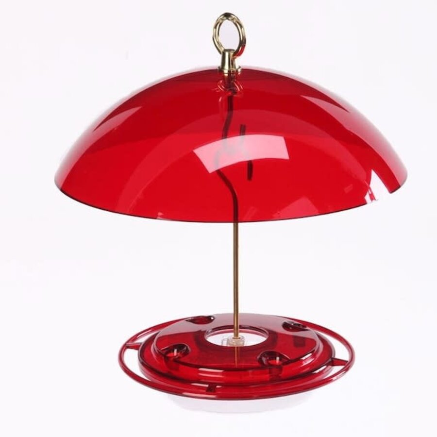 Hummingbird Feeder with Dome