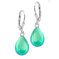 Dangle Crystal Drop Earrings