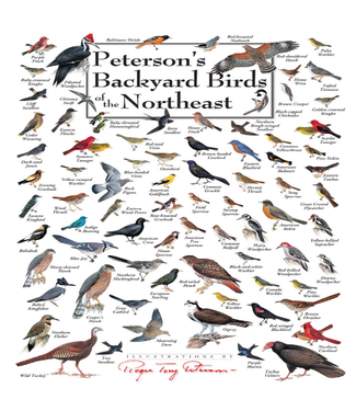 Heritage Puzzle Peterson's Backyard Birds of the NE Puzzle 550 PC