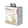 Kikkerland Mini Ikebana Kit