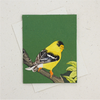 Mr. Ellie Pooh Fair Trade Goldfinch Card