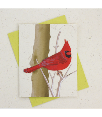 Mr. Ellie Pooh Fair Trade Cardinal Card