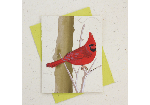  Mr. Ellie Pooh Fair Trade Cardinal Card 