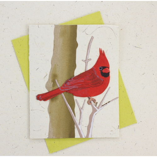  Mr. Ellie Pooh Fair Trade Cardinal Card 