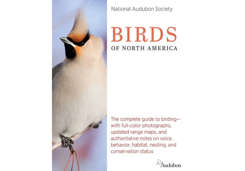 Birds of North America   Birds of North America