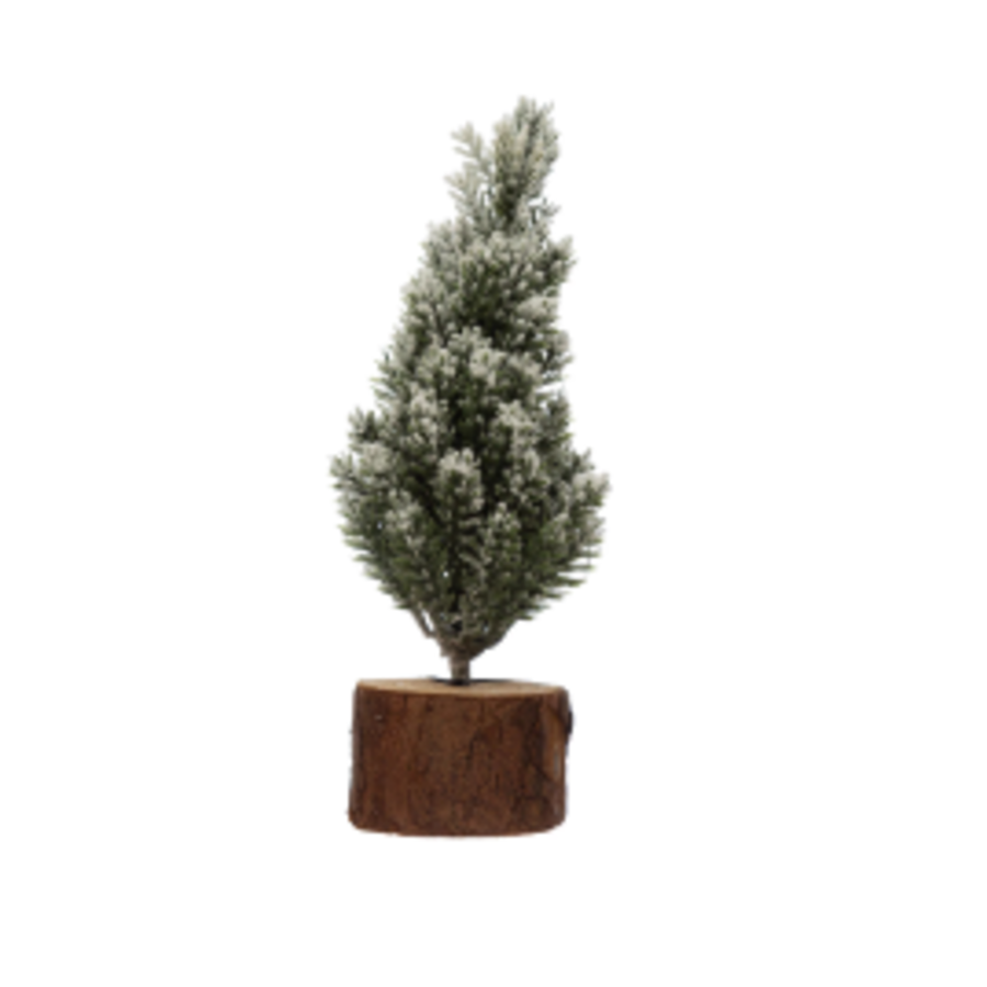 Pine Tree with Wood Slice Base