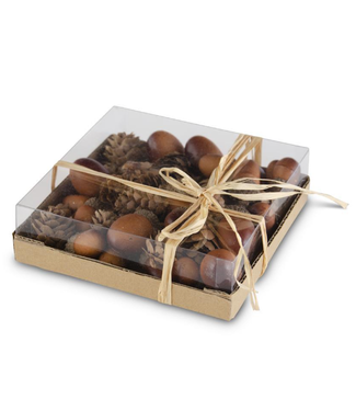 K & K Interiors Inc Box of 24 Acorns Light Brown