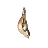 White Breasted Nuthatch Ornament