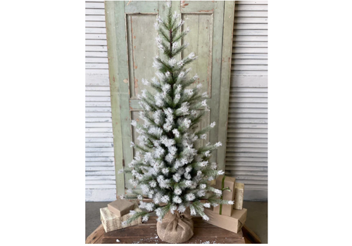  Frost Fade Pine Tree 4' 
