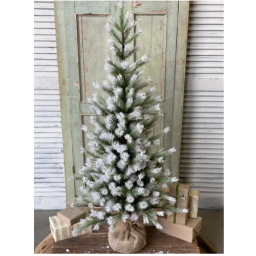  Frost Fade Pine Tree 4' 