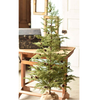 North Rim Hemlock Tree 48"