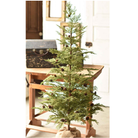 North Rim Hemlock Tree 48"