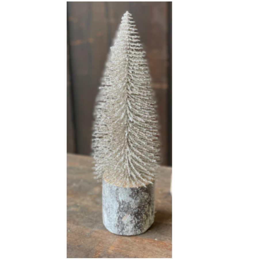 Snowy Foxtail Pine Tree