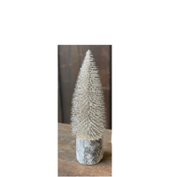 Snowy Foxtail Pine Tree