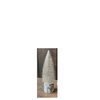 Snowy Foxtail Pine Tree