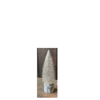 Snowy Foxtail Pine Tree