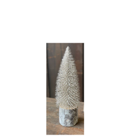 Snowy Foxtail Pine Tree