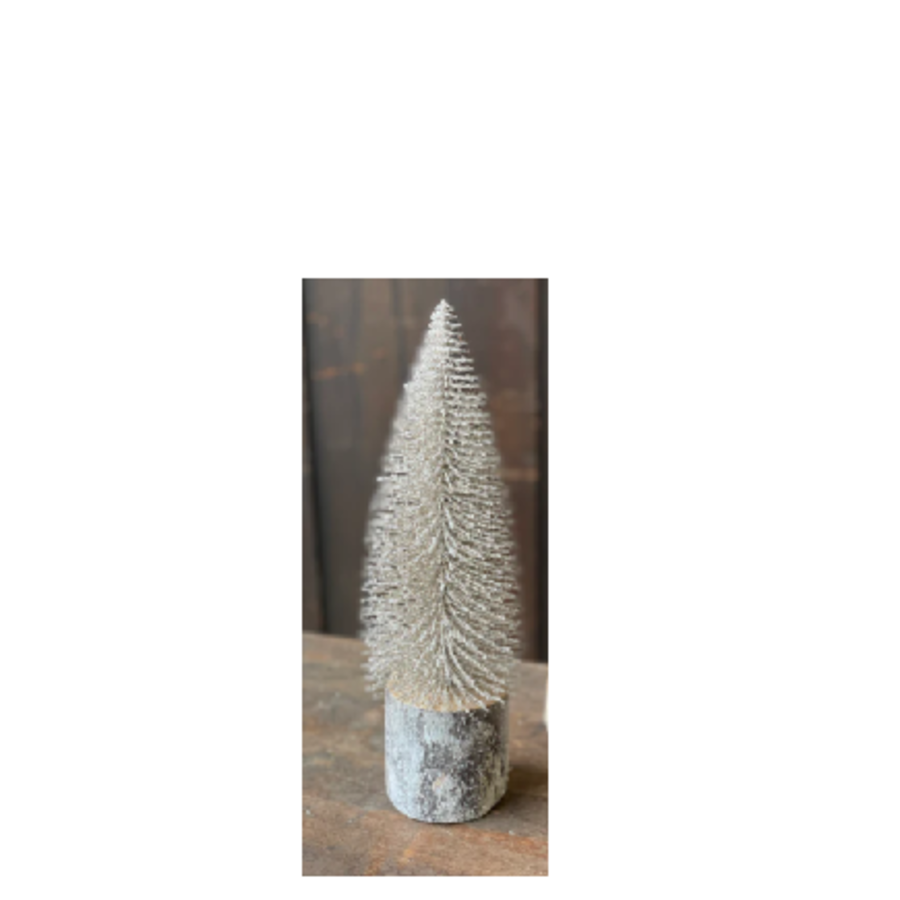 Snowy Foxtail Pine Tree