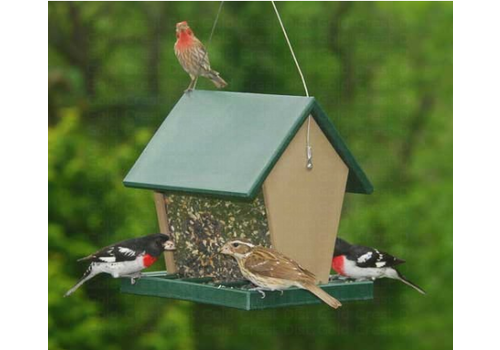  SE Recycled Plastic Hopper Feeder 