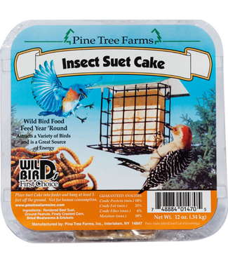 Lizzie Mae Bird Seed PTF Insect Suet Cake