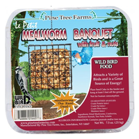 PTF Mealworm Banquet Fruit & Nut Cake