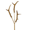 33" Gold Antler Spray