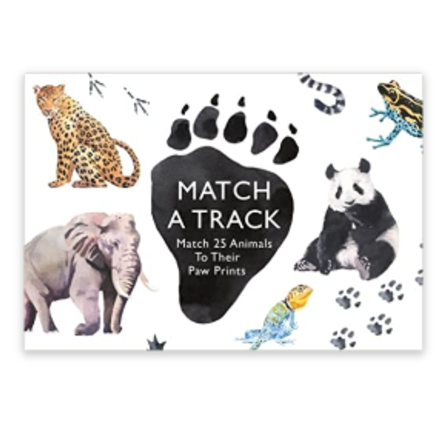 Match a Track Game