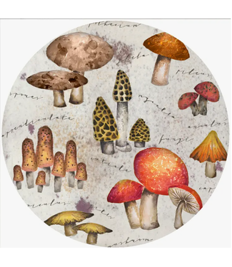 Andreas Mystical Mushroom Jar Opener